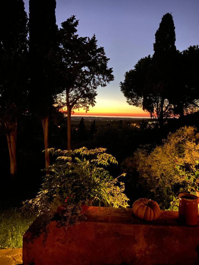 B&B Villa Il Poggetto Venturina Terme Exterior photo