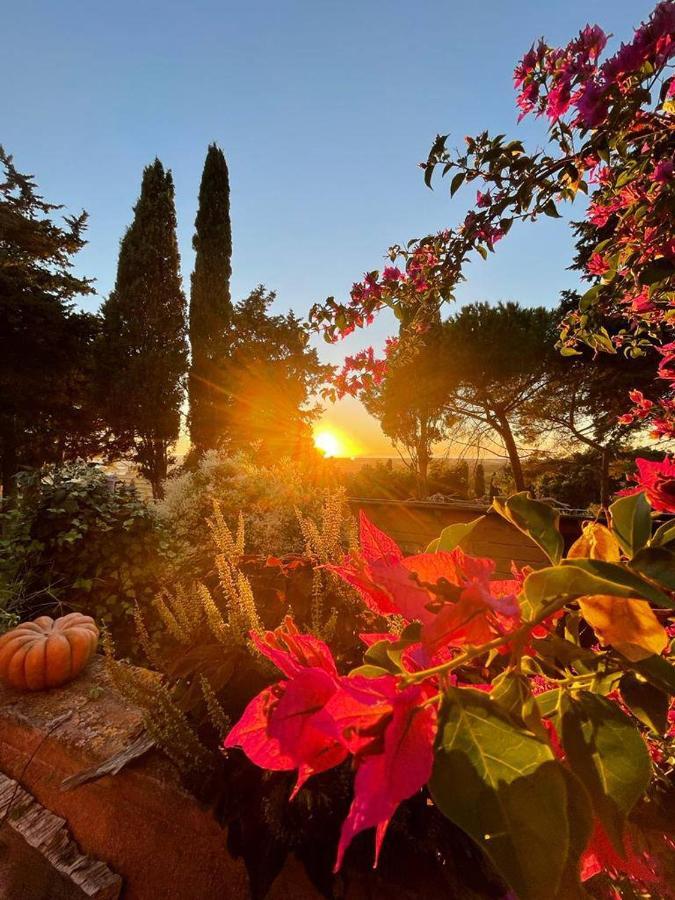 B&B Villa Il Poggetto Venturina Terme Exterior photo