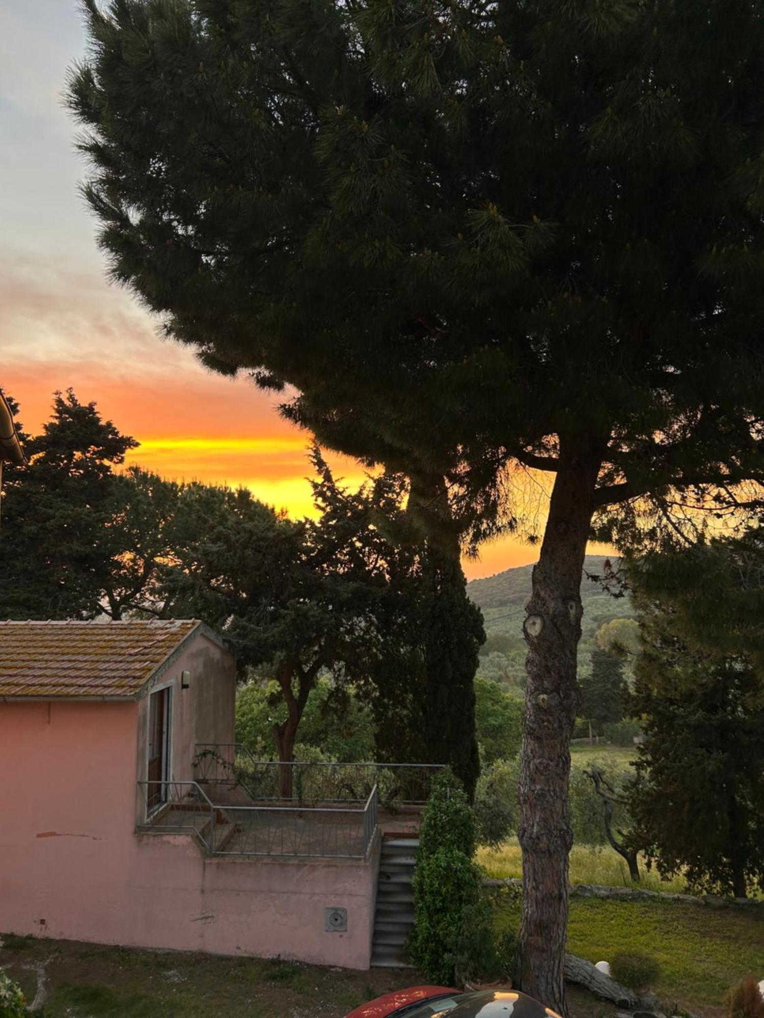 B&B Villa Il Poggetto Venturina Terme Exterior photo