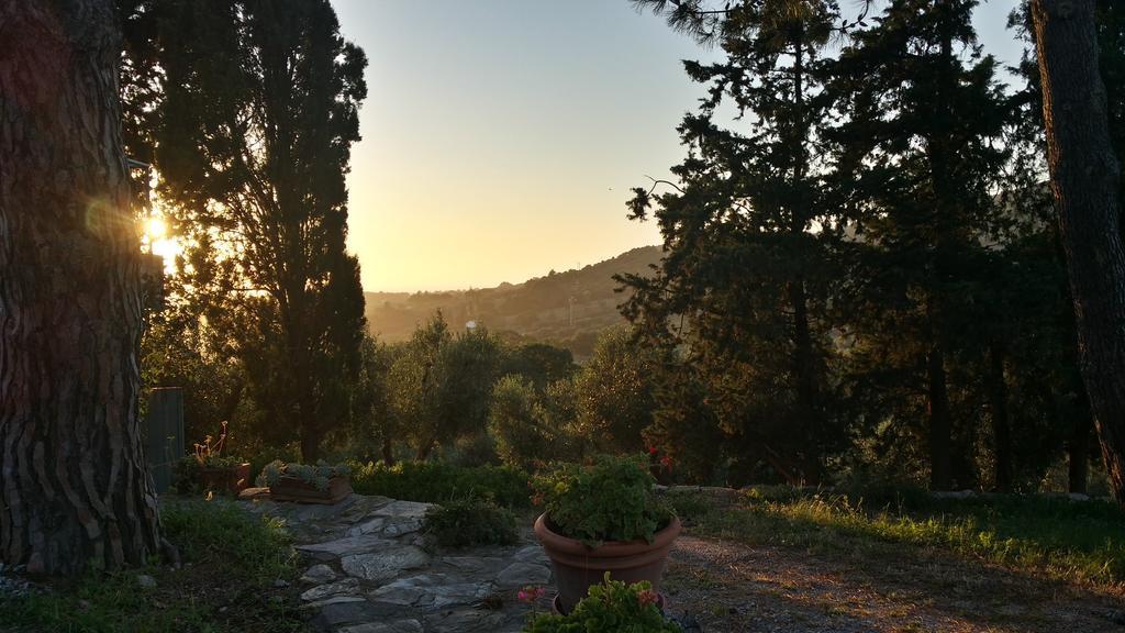 B&B Villa Il Poggetto Venturina Terme Exterior photo